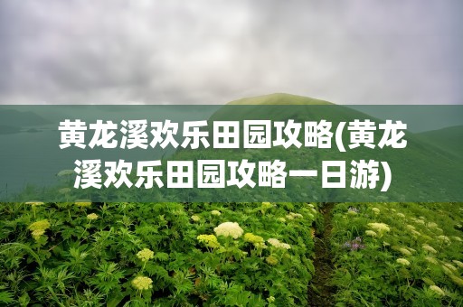 黄龙溪欢乐田园攻略(黄龙溪欢乐田园攻略一日游)