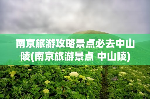 南京旅游攻略景点必去中山陵(南京旅游景点 中山陵)