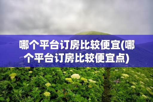 哪个平台订房比较便宜(哪个平台订房比较便宜点)