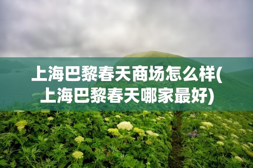 上海巴黎春天商场怎么样(上海巴黎春天哪家最好)