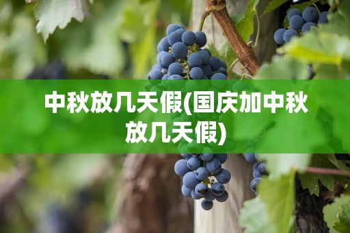 中秋放几天假(国庆加中秋放几天假)