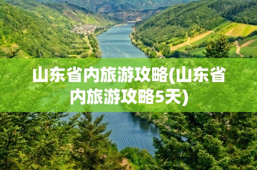 山东省内旅游攻略(山东省内旅游攻略5天)