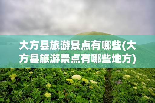 大方县旅游景点有哪些(大方县旅游景点有哪些地方)