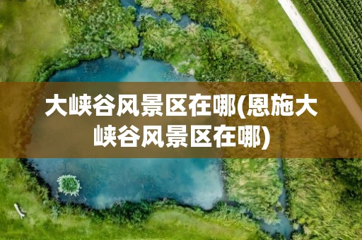 大峡谷风景区在哪(恩施大峡谷风景区在哪)