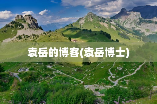 袁岳的博客(袁岳博士)