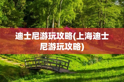迪士尼游玩攻略(上海迪士尼游玩攻略)