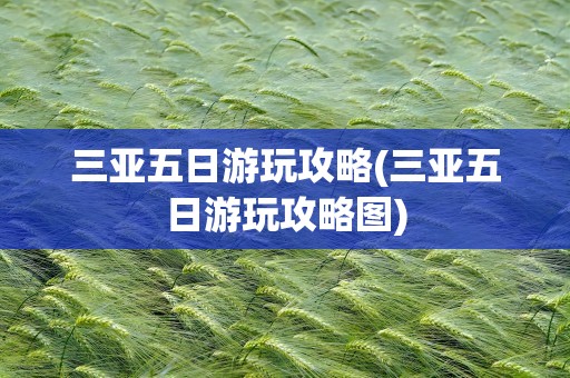 三亚五日游玩攻略(三亚五日游玩攻略图)