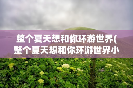 整个夏天想和你环游世界(整个夏天想和你环游世界小说)