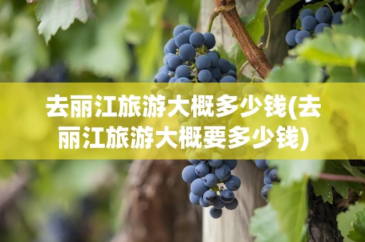 去丽江旅游大概多少钱(去丽江旅游大概要多少钱)