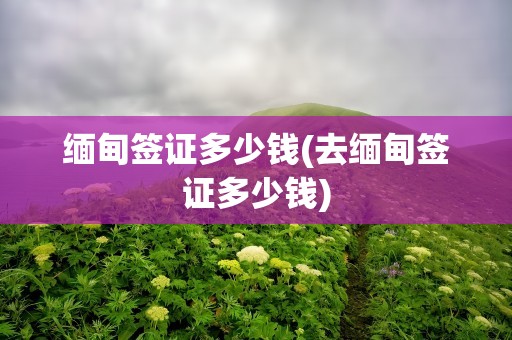 缅甸签证多少钱(去缅甸签证多少钱)