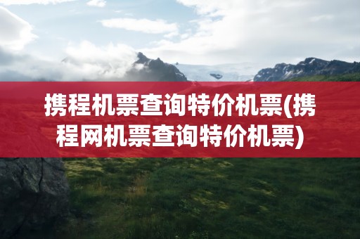 携程机票查询特价机票(携程网机票查询特价机票)