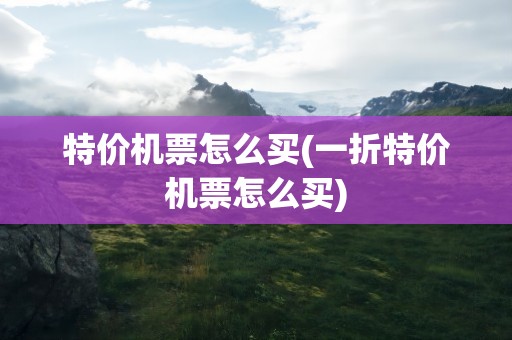 特价机票怎么买(一折特价机票怎么买)