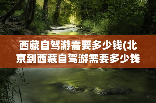 西藏自驾游需要多少钱(北京到西藏自驾游需要多少钱)