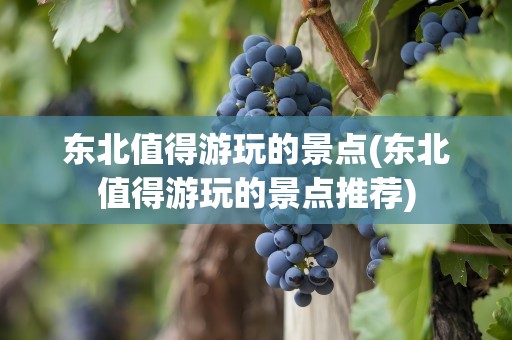东北值得游玩的景点(东北值得游玩的景点推荐)
