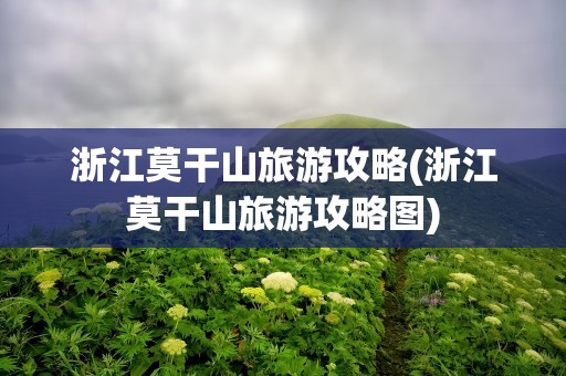 浙江莫干山旅游攻略(浙江莫干山旅游攻略图)