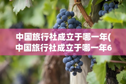 中国旅行社成立于哪一年(中国旅行社成立于哪一年6月)