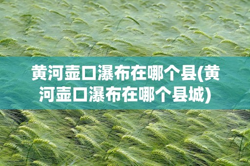 黄河壶口瀑布在哪个县(黄河壶口瀑布在哪个县城)