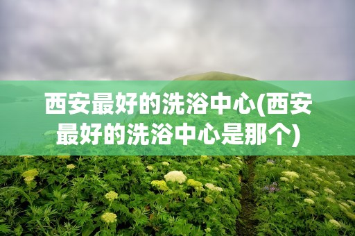 西安最好的洗浴中心(西安最好的洗浴中心是那个)