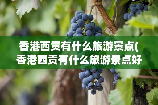 香港西贡有什么旅游景点(香港西贡有什么旅游景点好玩)