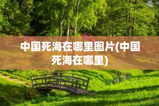 中国死海在哪里图片(中国死海在哪里)