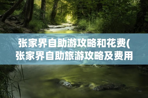 张家界自助游攻略和花费(张家界自助旅游攻略及费用)