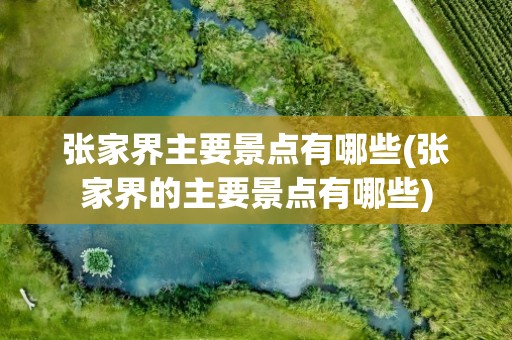 张家界主要景点有哪些(张家界的主要景点有哪些)