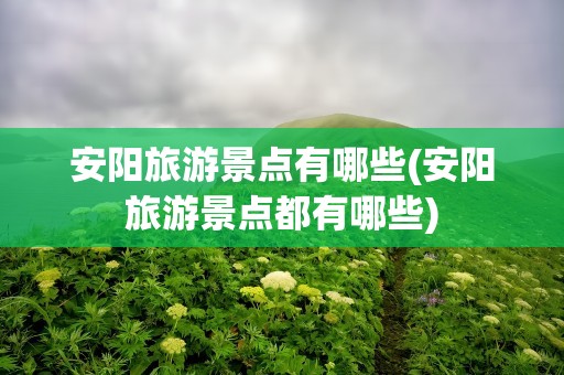 安阳旅游景点有哪些(安阳旅游景点都有哪些)