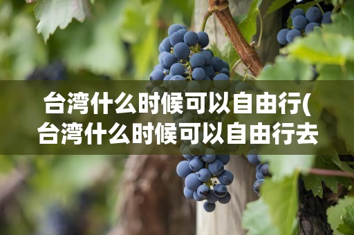 台湾什么时候可以自由行(台湾什么时候可以自由行去)