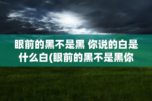 眼前的黑不是黑 你说的白是什么白(眼前的黑不是黑你说的白是什么白歌词)