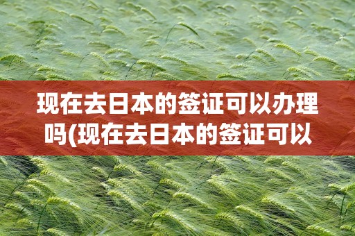 现在去日本的签证可以办理吗(现在去日本的签证可以办理吗李淼)