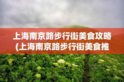 上海南京路步行街美食攻略(上海南京路步行街美食推荐)