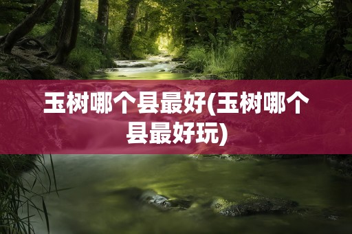 玉树哪个县最好(玉树哪个县最好玩)