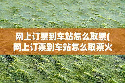 网上订票到车站怎么取票(网上订票到车站怎么取票火车)