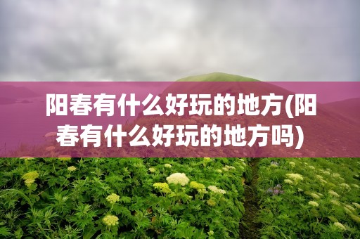 阳春有什么好玩的地方(阳春有什么好玩的地方吗)