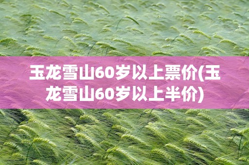 玉龙雪山60岁以上票价(玉龙雪山60岁以上半价)