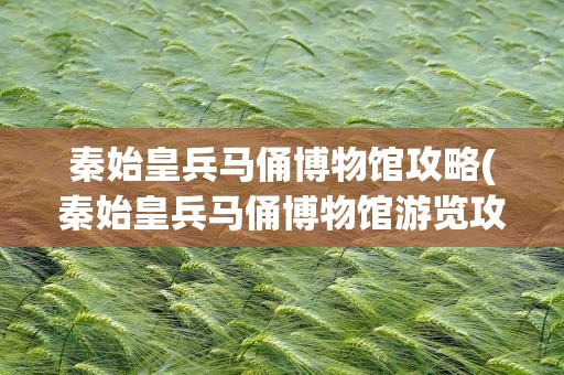 秦始皇兵马俑博物馆攻略(秦始皇兵马俑博物馆游览攻略)