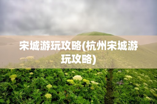 宋城游玩攻略(杭州宋城游玩攻略)