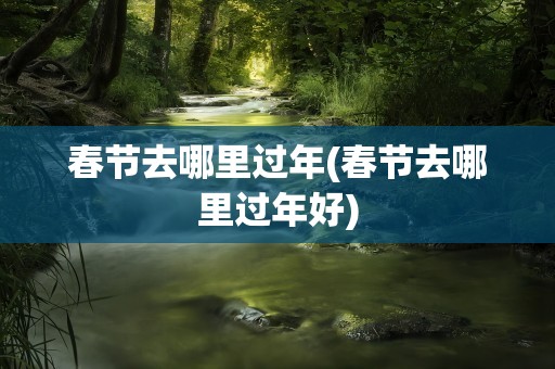 春节去哪里过年(春节去哪里过年好)