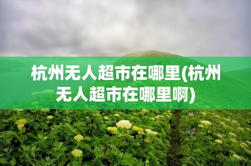 杭州无人超市在哪里(杭州无人超市在哪里啊)