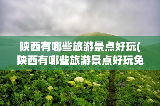 陕西有哪些旅游景点好玩(陕西有哪些旅游景点好玩免费)