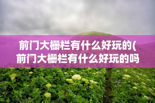 前门大栅栏有什么好玩的(前门大栅栏有什么好玩的吗)