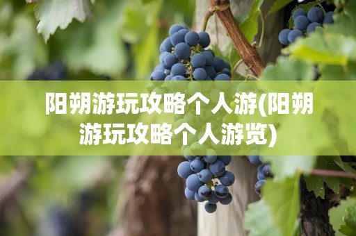 阳朔游玩攻略个人游(阳朔游玩攻略个人游览)