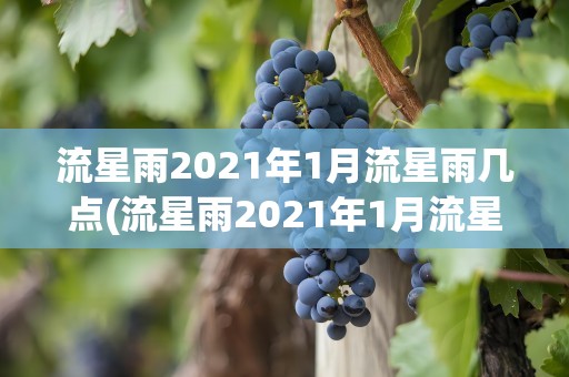 流星雨2021年1月流星雨几点(流星雨2021年1月流星雨几点发生)