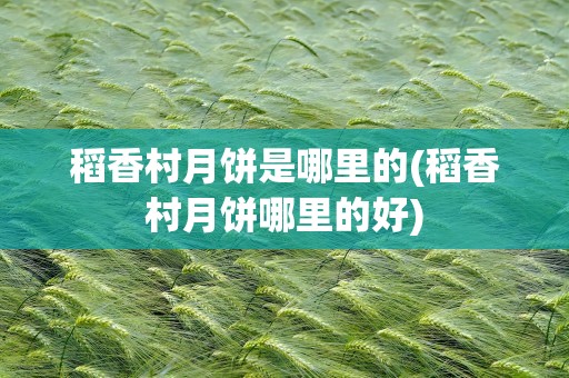 稻香村月饼是哪里的(稻香村月饼哪里的好)