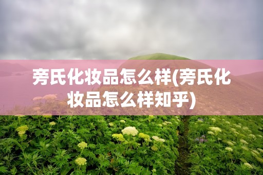 旁氏化妆品怎么样(旁氏化妆品怎么样知乎)