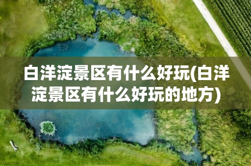 白洋淀景区有什么好玩(白洋淀景区有什么好玩的地方)