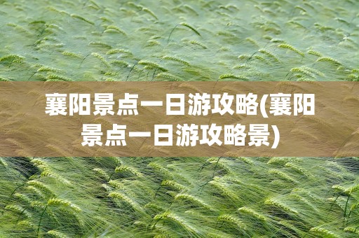 襄阳景点一日游攻略(襄阳景点一日游攻略景)
