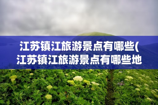 江苏镇江旅游景点有哪些(江苏镇江旅游景点有哪些地方)