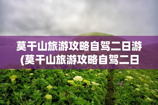 莫干山旅游攻略自驾二日游(莫干山旅游攻略自驾二日游路线)