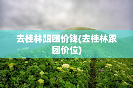 去桂林跟团价钱(去桂林跟团价位)